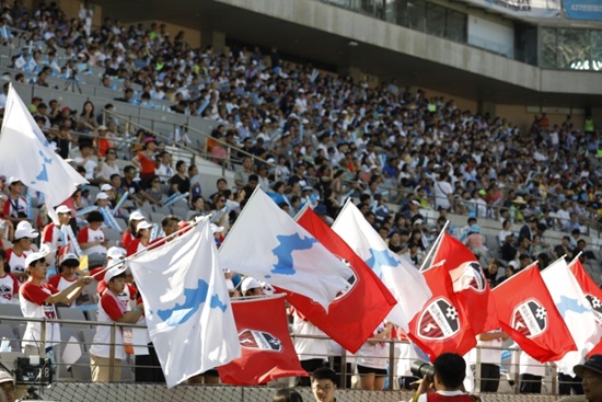 남북노동자축구-3만관중.jpg
